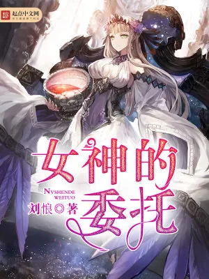 《女神的委托》小说封面