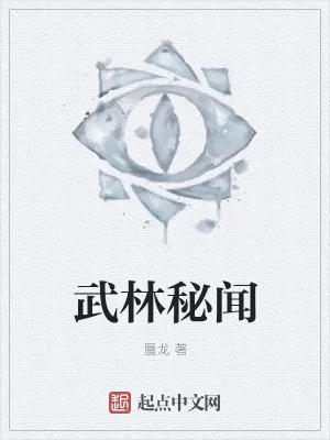 《武林秘闻》小说封面
