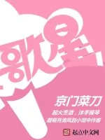 《歌星》小说封面