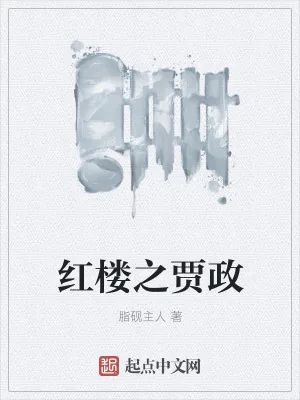《红楼之贾政》小说封面