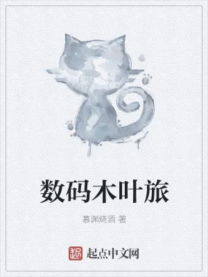 《数码木叶旅》小说封面