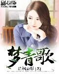 《梦青歌》小说封面