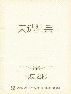 《天选神兵》小说封面