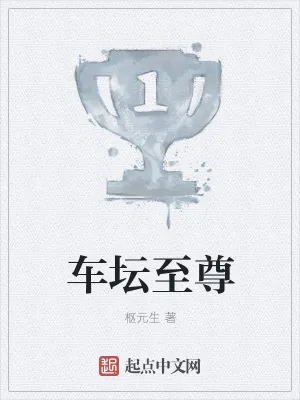 《车坛至尊》小说封面