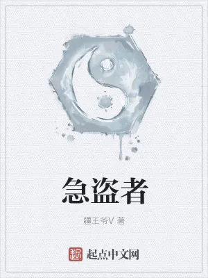 《急盗者》小说封面
