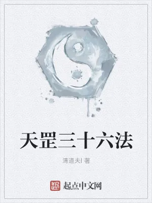 《天罡三十六法》小说封面