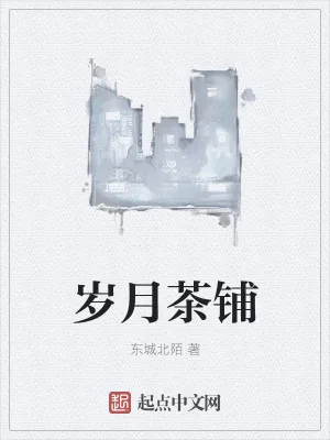 《岁月茶铺》小说封面