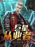 《巨星从业者》小说封面
