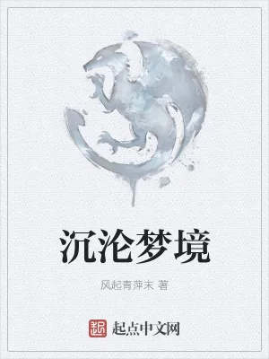 《沉沦梦境》小说封面