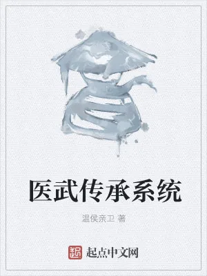 《医武传承系统》小说封面