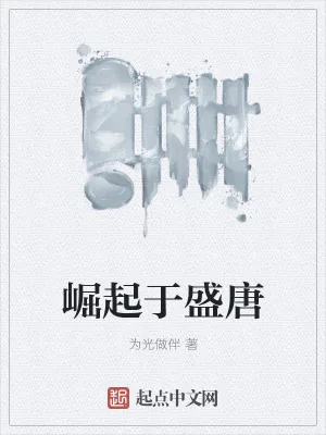 《崛起于盛唐》小说封面