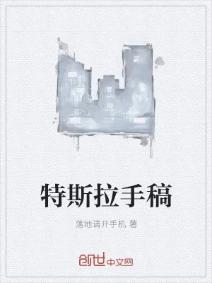 《特斯拉手稿》小说封面