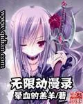 《无限动漫录》小说封面