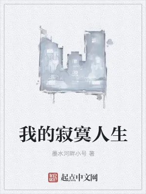 《我的寂寞人生》小说封面