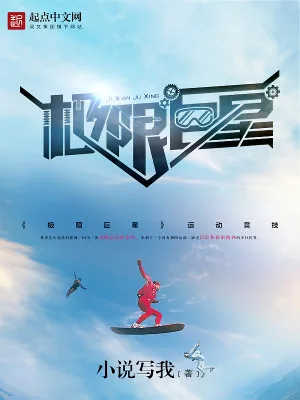 《极限巨星》小说封面