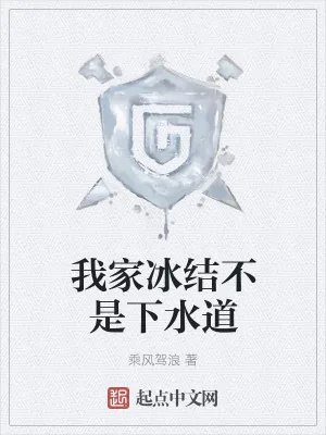 《我家冰结不是下水道》小说封面