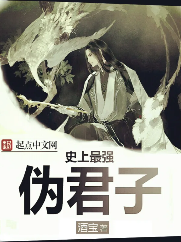 《史上最强伪君子》小说封面