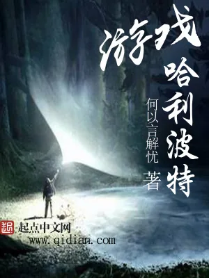 《游戏哈利波特》小说封面