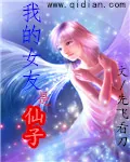 《我的女友是仙子》小说封面