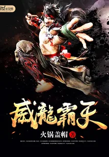 《威龙霸天》小说封面