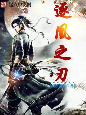 《逐凰之刃》小说封面