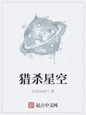 《猎杀星空》小说封面