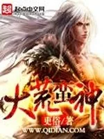 《大荒蛮神》小说封面