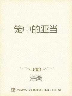 《笼中的亚当》小说封面