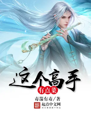 《这个高手有点菜》小说封面