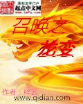 《召唤之龙变》小说封面