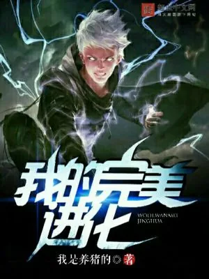 《我的完美进化》小说封面