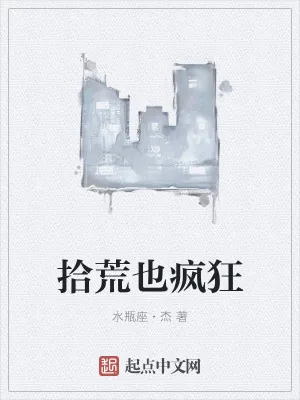 《拾荒也疯狂》小说封面