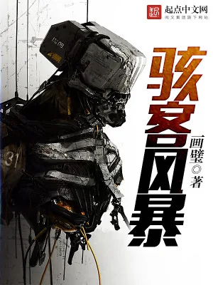 《骇客风暴》小说封面