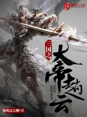 《三国之大帝赵云》小说封面