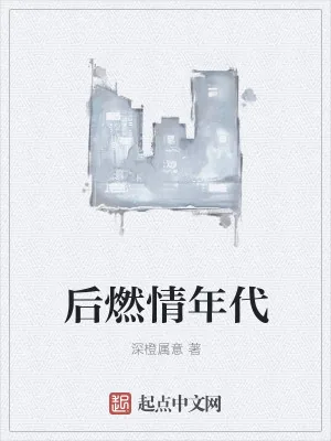 《后燃情年代》小说封面