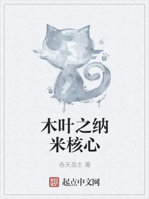 《木叶之纳米核心》小说封面