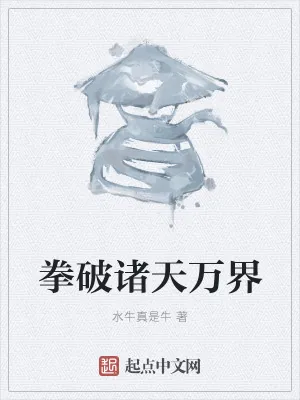《拳破诸天万界》小说封面
