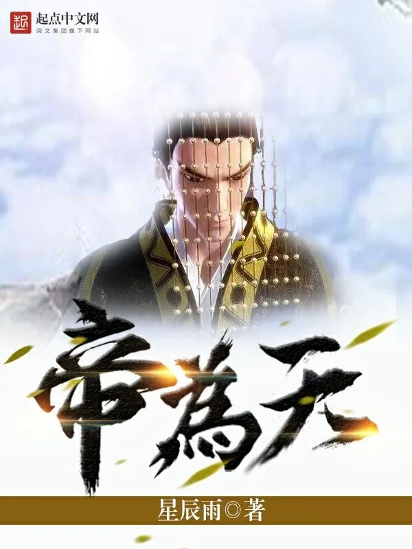 《帝为天》小说封面
