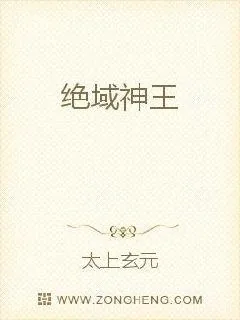 《绝域神王》小说封面