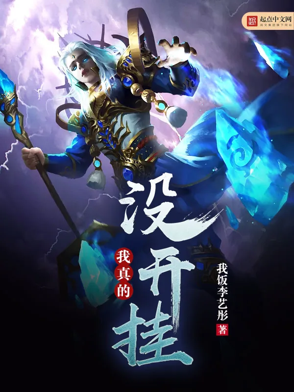 《我真的没开挂》小说封面