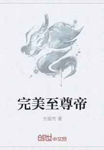 《完美至尊帝》小说封面