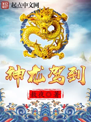 《神龙驾到》小说封面