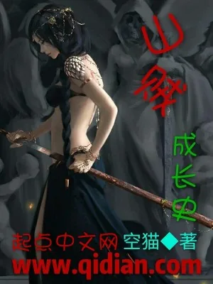 《山贼成长史》小说封面