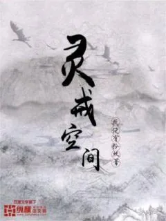 《灵戒空间》小说封面