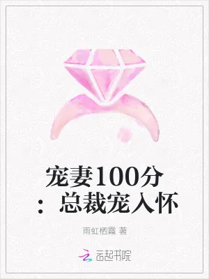 《宠妻100分：总裁宠入怀》小说封面