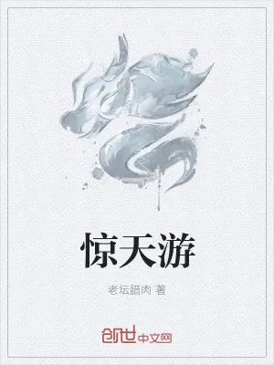 《惊天游》小说封面