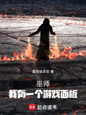 《巫师，我有一个游戏面板》小说封面