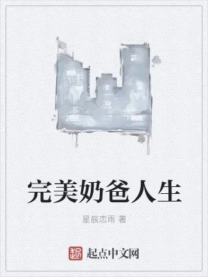 《完美奶爸人生》小说封面