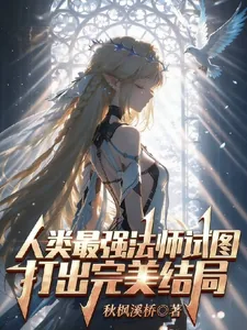《人类最强法师试图打出完美结局》小说封面