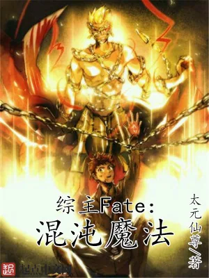 《综主fate之混沌魔法》小说封面